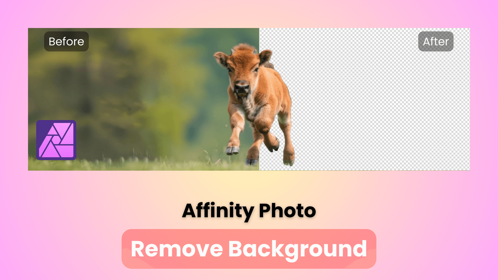 affinity photo remove background