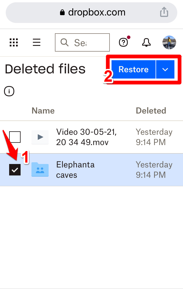 restore deleted files from dropbox