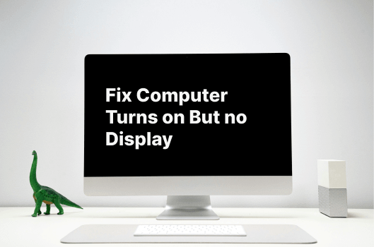 fix pc turns on but no display on the monitor