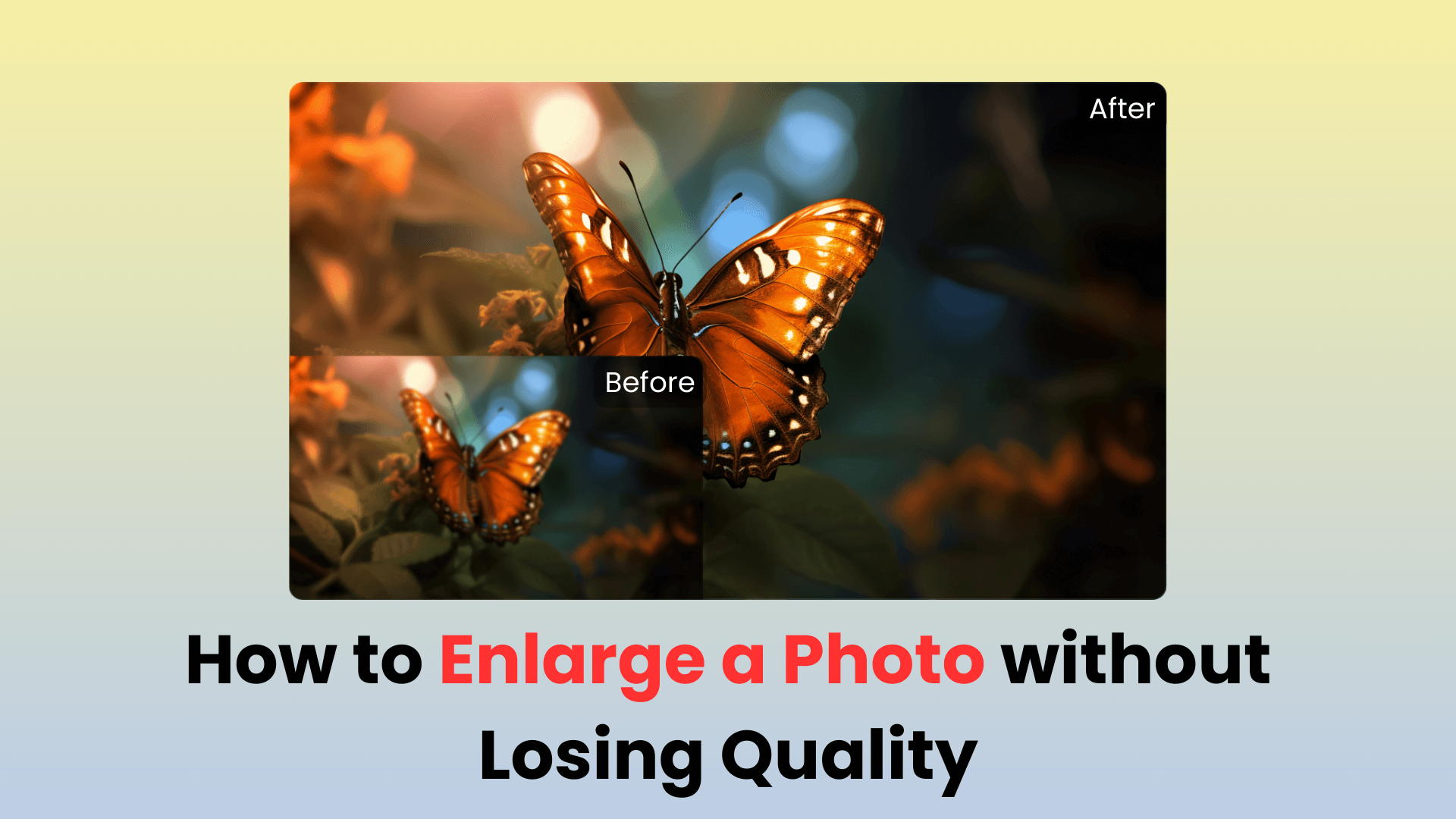 how to enlarge a photo without losing quality