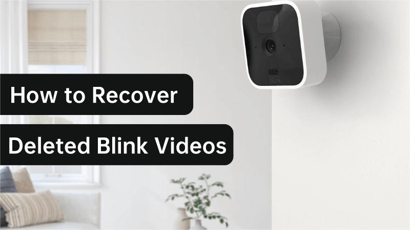how to recover deleted blink videos