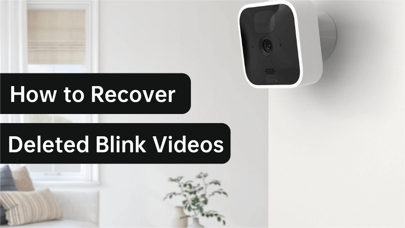 View blink camera cheap on pc