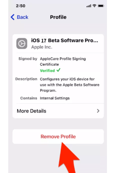 remove ios 17