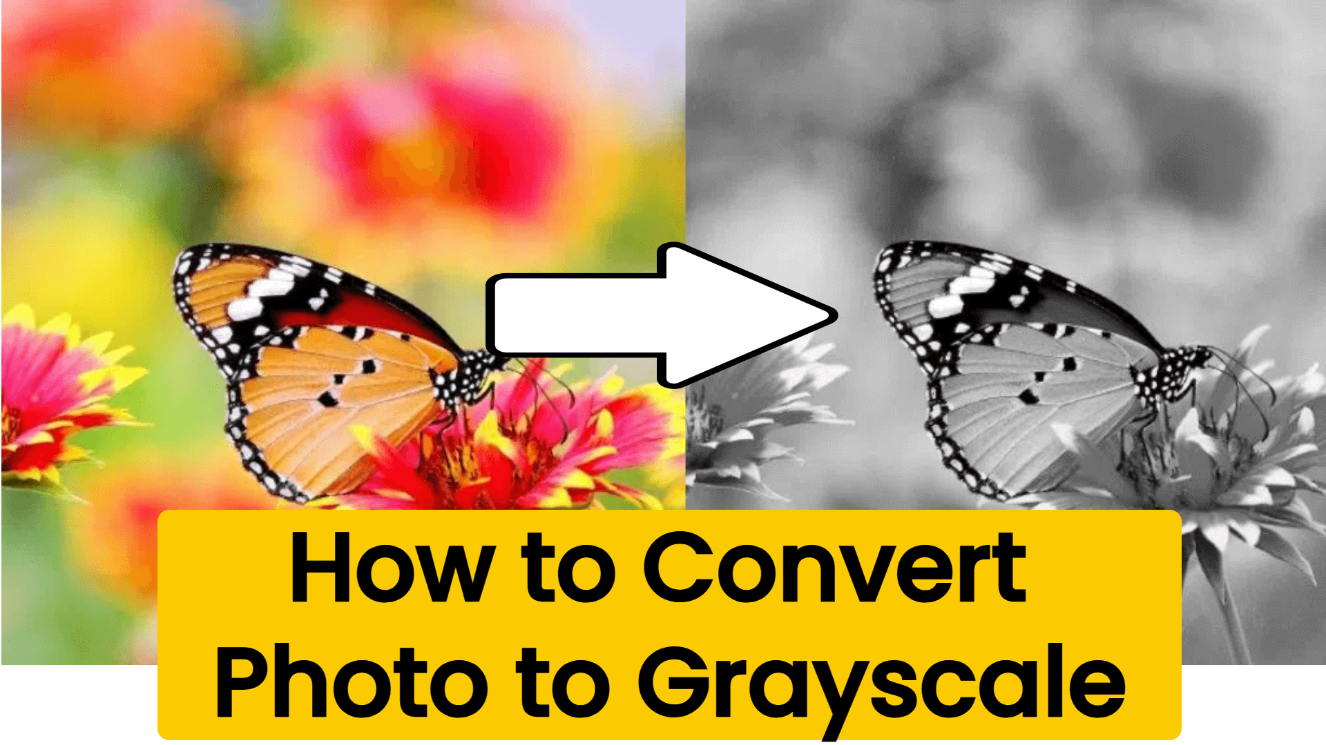 convert photo to grayscale