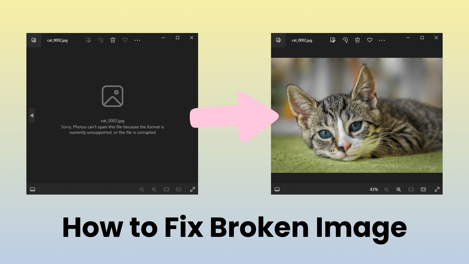 how to fix broken image