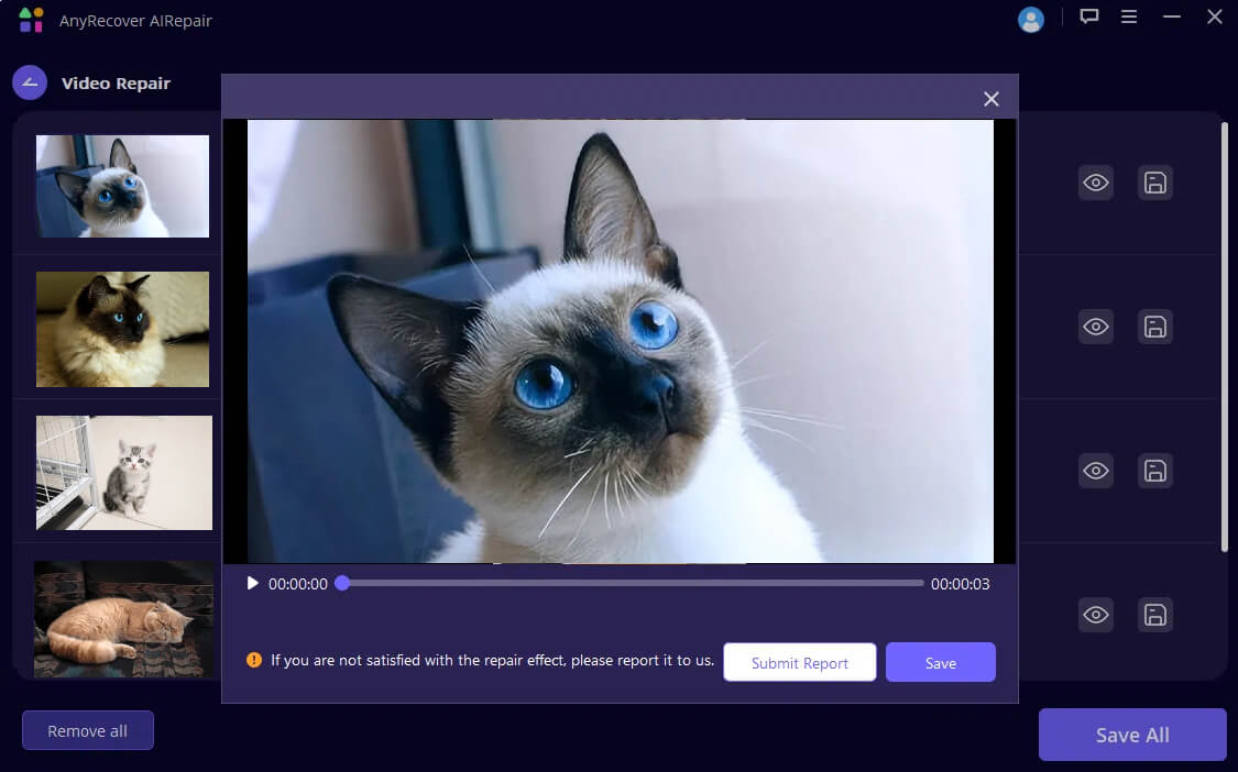 preview and save repaired videos
