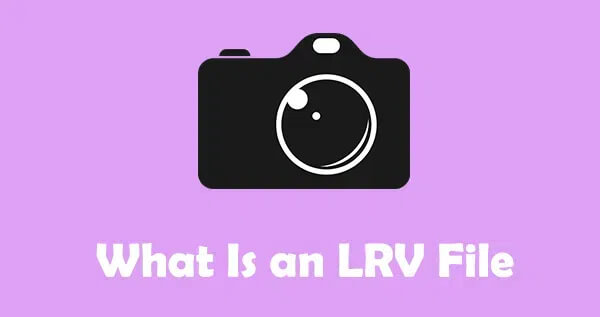 what can lrv files do