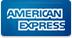 american express payment