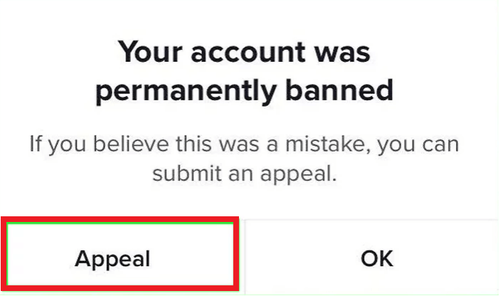 appeal for unlocking tiktok account