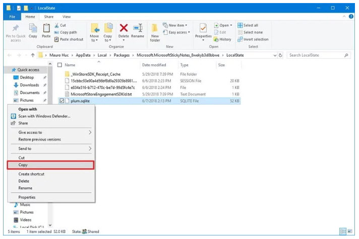 copy plum sqlite file