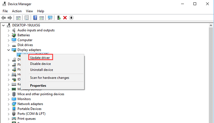 display adapters update driver