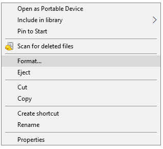 format raw disk