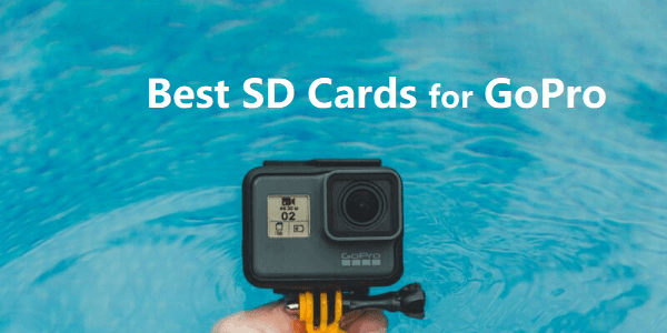 15 Best SD Cards for GoPro Hero 10 (Recommendation 2024)