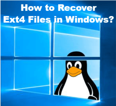 instal the last version for windows DiskInternals Linux Recovery 6.17.0.0