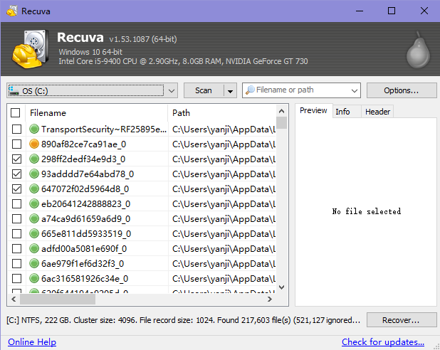 Recuva select and recover files