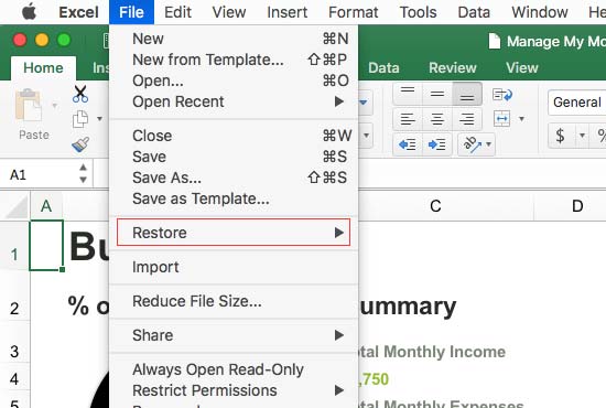  2023 How To Restore Previous Version Of Excel File On Mac