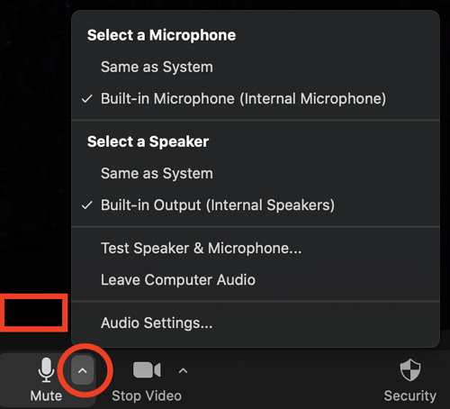 seelect the right microphone icon