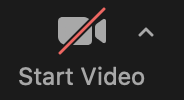 start video icon