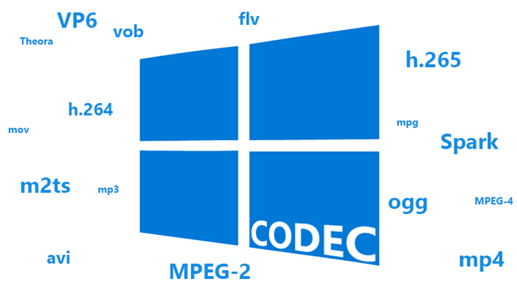 supported video codec