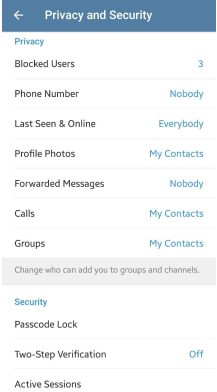 Telegram privacy security settings