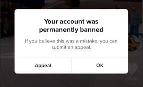 tiktok account gets banned