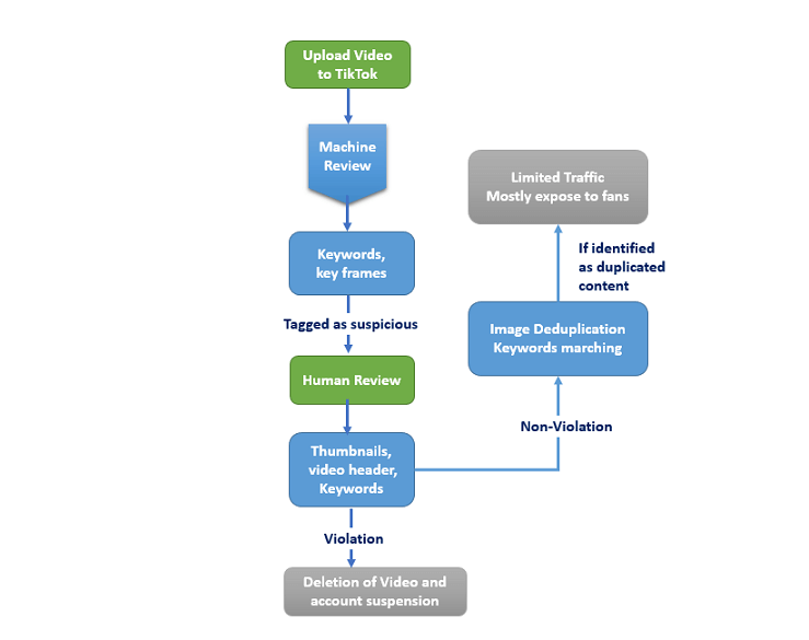 tiktok review process