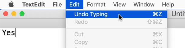 undo on mac from edit menu