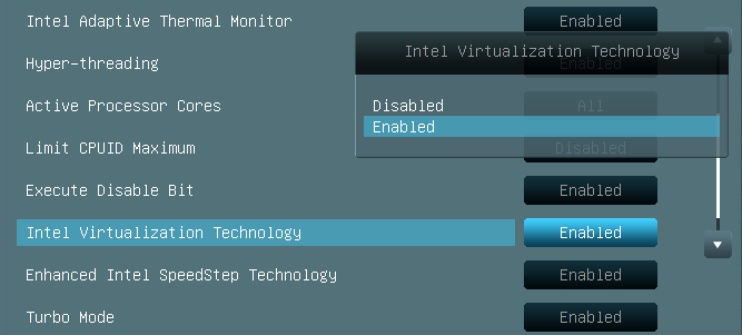virtualization mode
