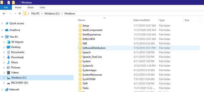 windows update cache folder