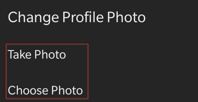 How to Add Profile Picture in Zoom (No Camera) 