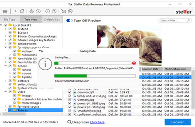 stella data recovery