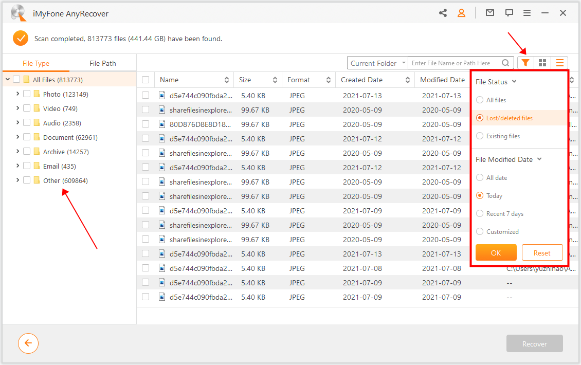 AnyRecover Scan Result & Filters