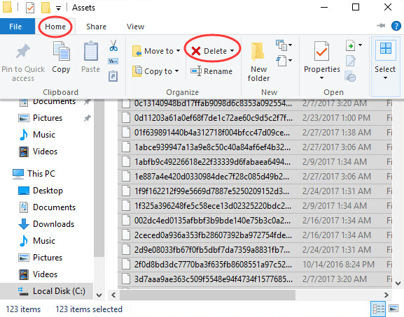 delete files in assets folder