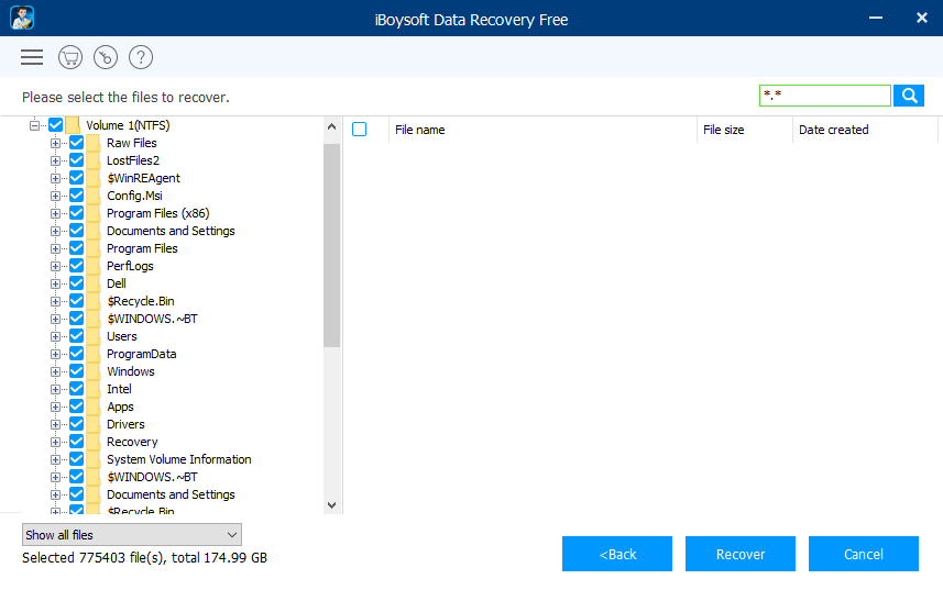 iBoysoft Scan Result