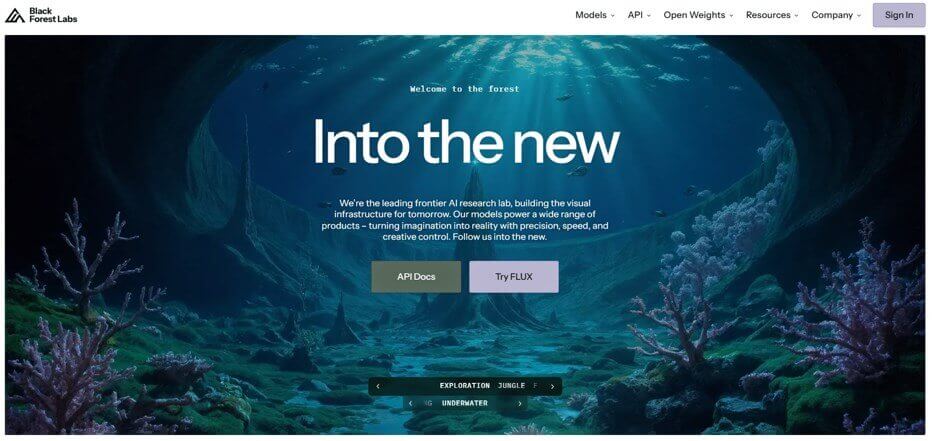 Flux AI website overview
