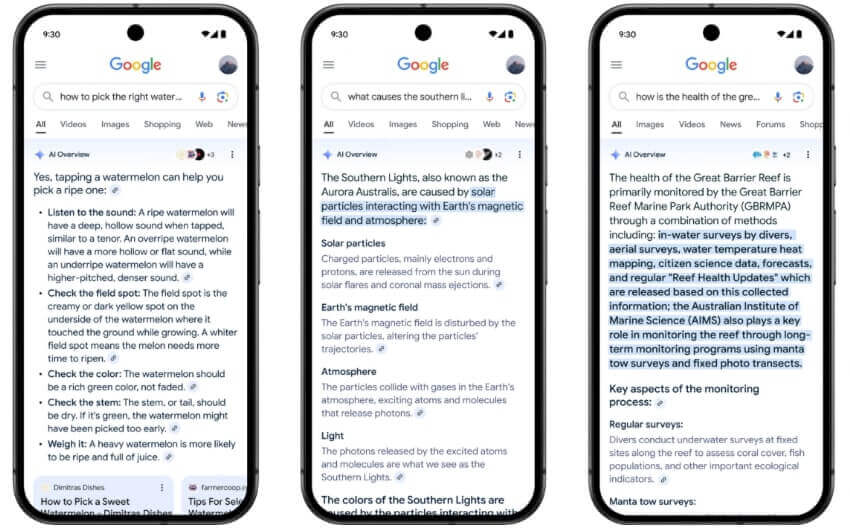 AI overview in Google search