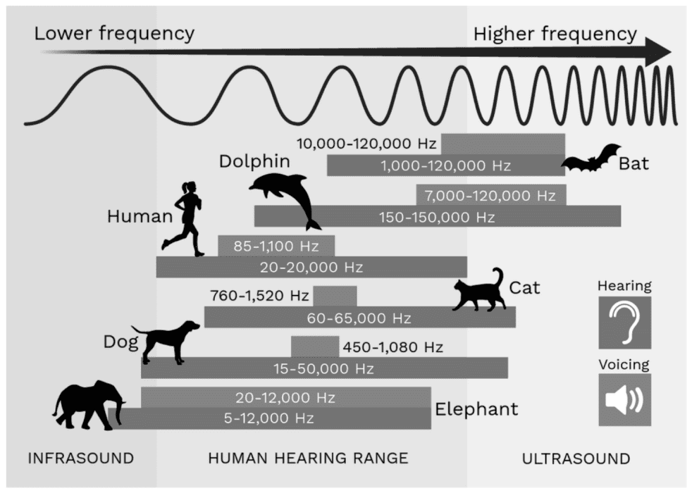 different frequency ensitivity