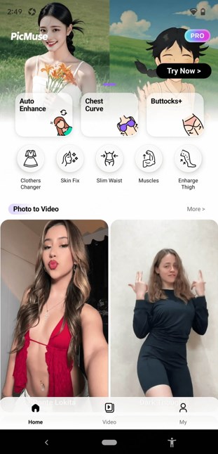 PicMuse 主畫面短影音模板