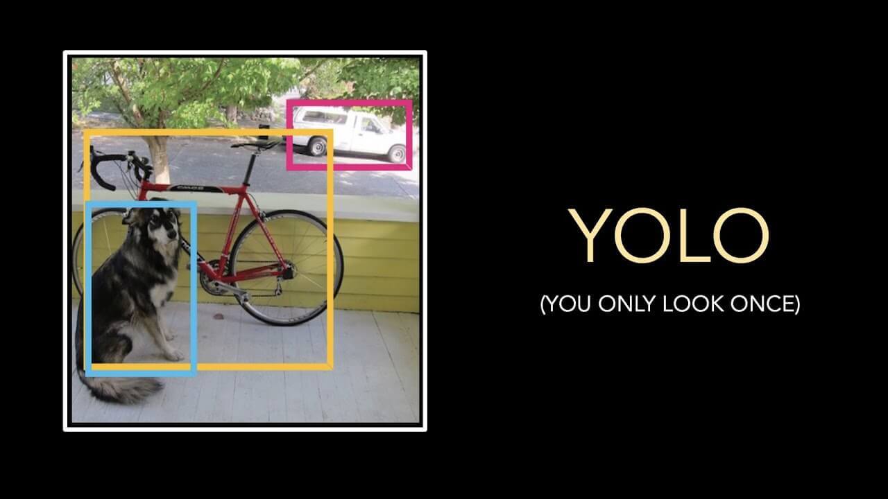 yolo