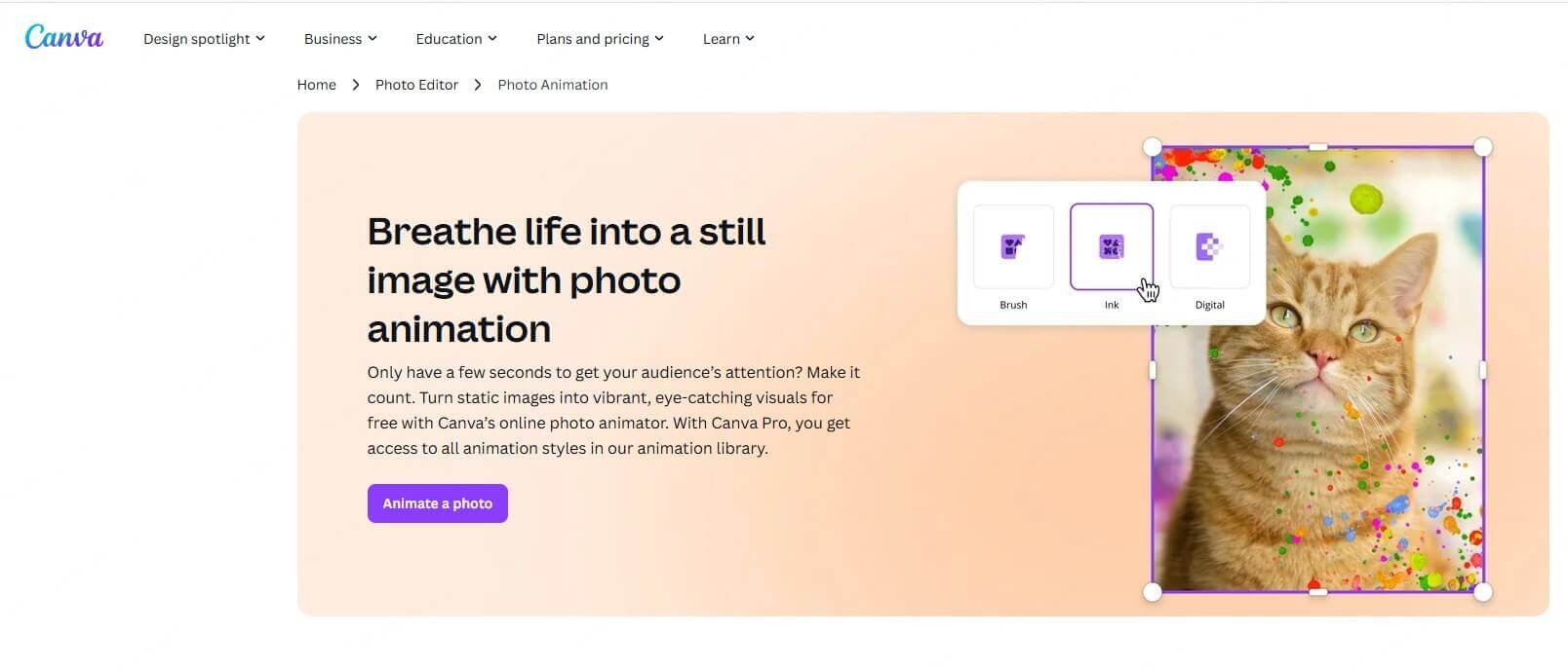 canva's animatior