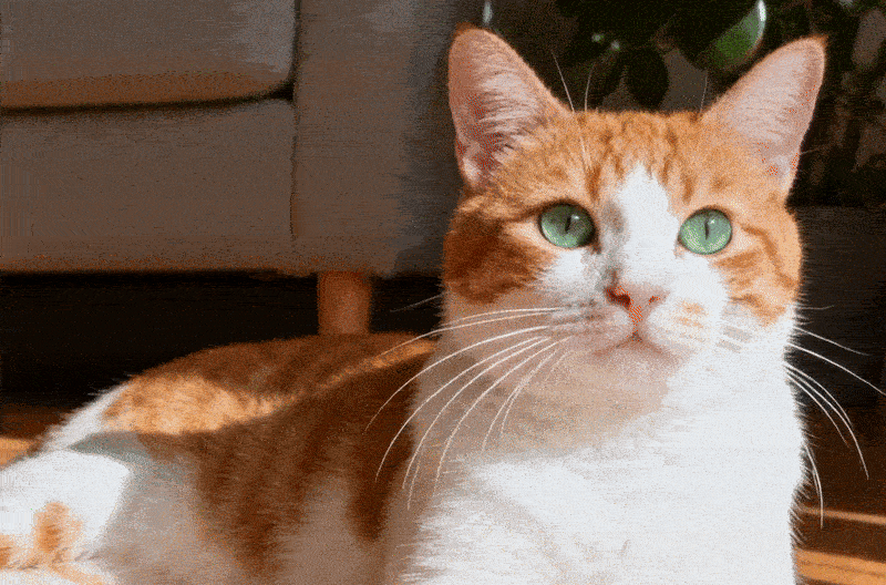 10 Best AI Halloween Costumes Ideas for 2025