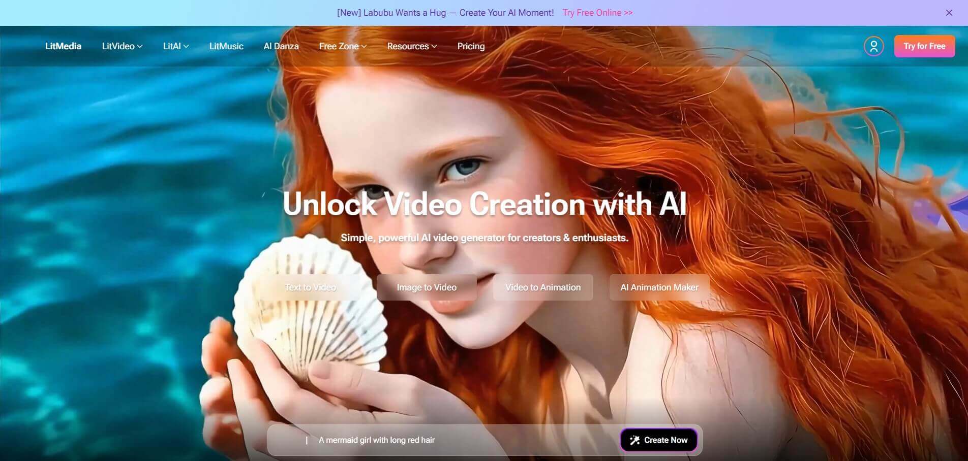 litvideo's website