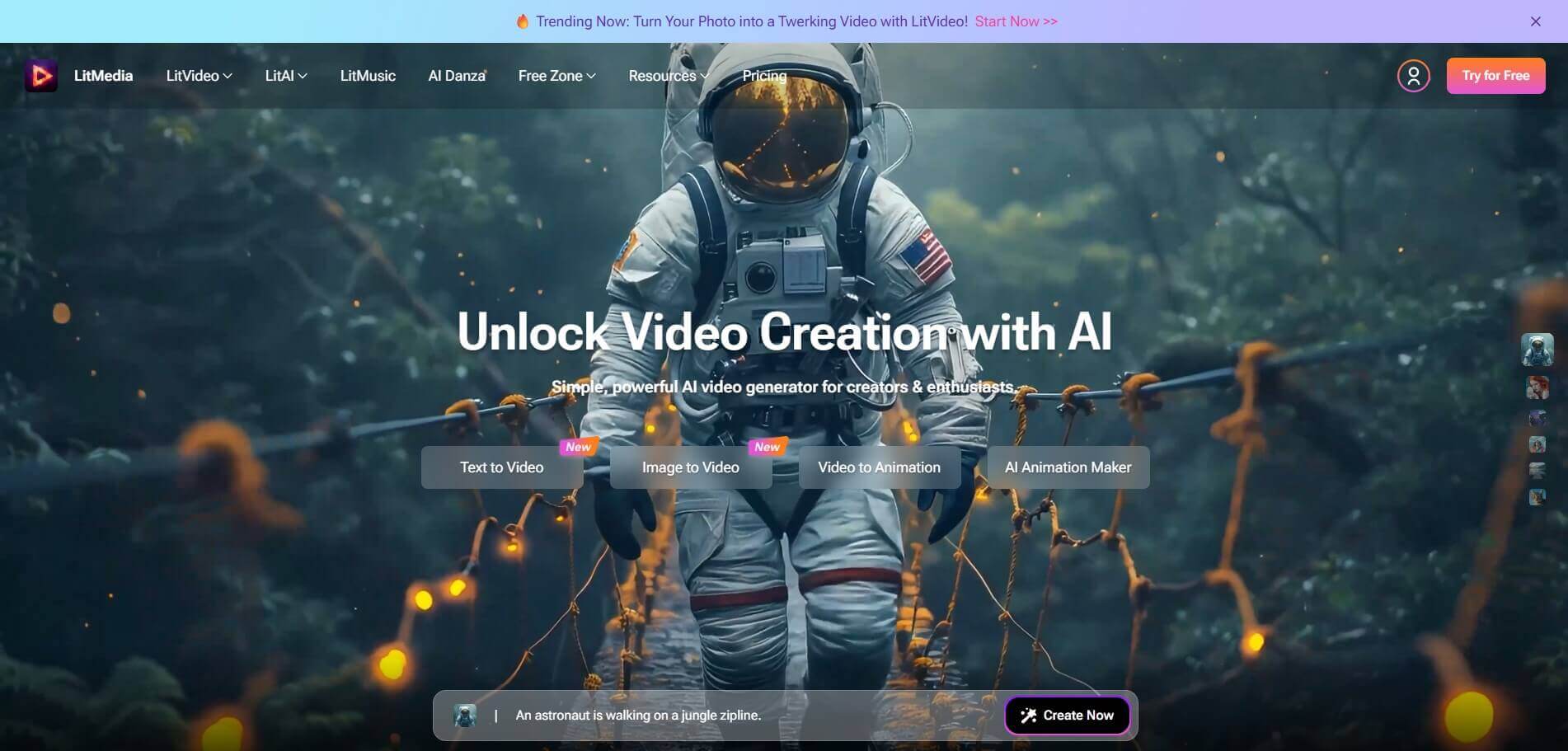 litvideo overview