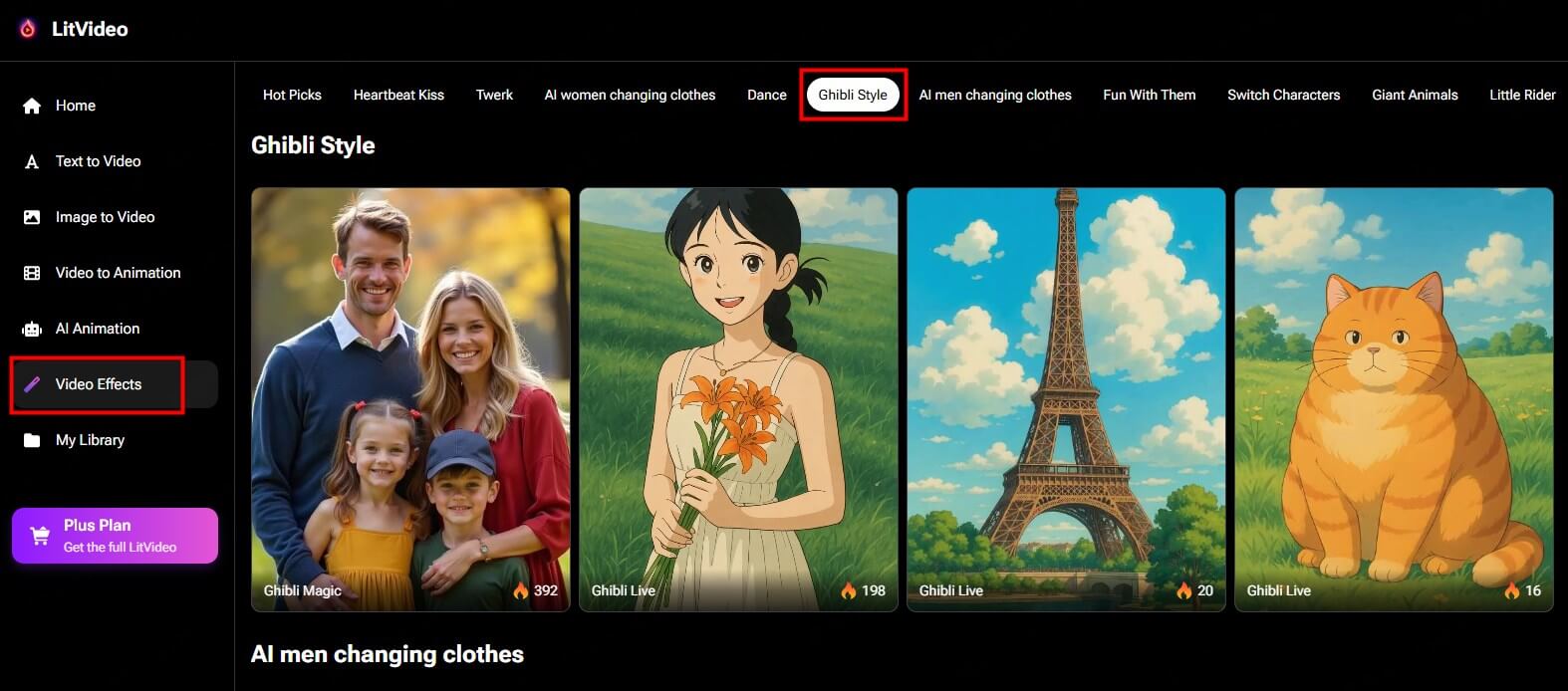 litvideo's video effect